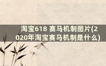 淘宝618 赛马机制图片(2020年淘宝赛马机制是什么)